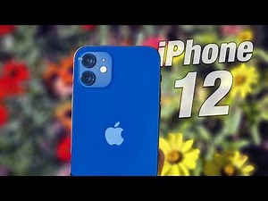 iPhone 12 Late 2022 Review! Worth it?