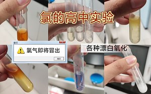 [Cl高中化学实验]进来感受氯的压迫感和神奇的卤素
