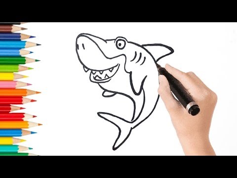 How to draw a cute shark || cute drawing easy