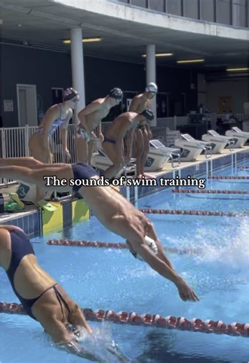 Daily Swim Training Insights from Perth