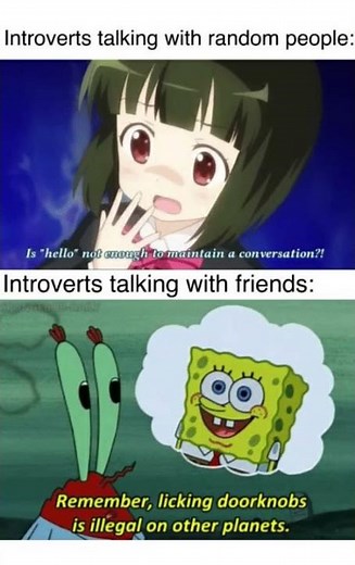 Introvert Memes 4