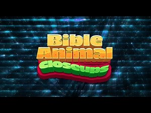 Bible Animal Closeups Church Game Video