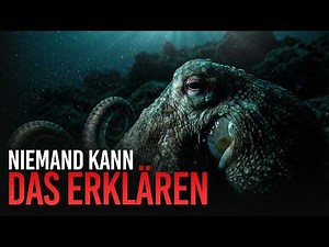 We completely misunderstood the octopus… 🐙 here's why | DOCUMENTARY