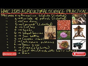 WAEC 2025 - AGRICULTURAL SCIENCE PRACTICAL