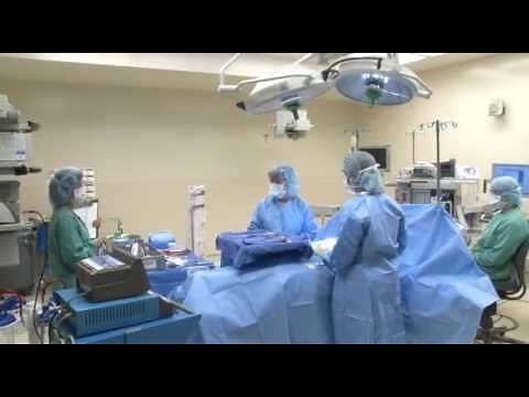 Guideline Essentials – Prevention of Retained Surgical Items: Scrub Person