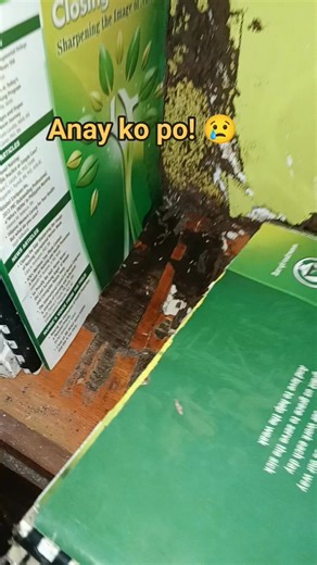 17 reactions · 11 comments | What is termite Home called in English? The Answer is Hole. The termites live in Hole and it is known as their home because it is where they reside when coming back. #termites #termitecontrol #termitetreatment #termiteprevention @highlight | Lito Monera Licerio | Facebook