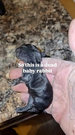 Don't Check The Sound.. ⚠️‼️