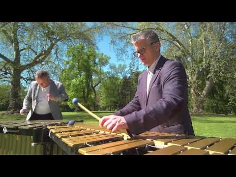 Vivaldi - "Spring" 1. - Allegro - TALAMBA VERSION