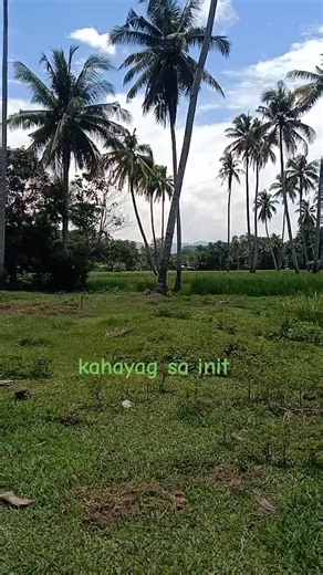 Beverly Menguito Jagos (@beverlyjagos)’s videos with Good Time - Owl City & Carly Rae Jepsen