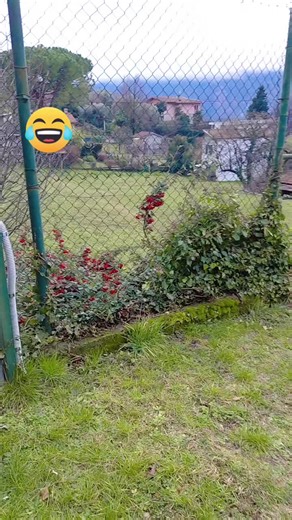 Experience Punjabi Culture in Italy