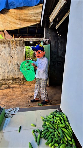boboboy abis ngambil timun dikebon bapak tua😄😄😄