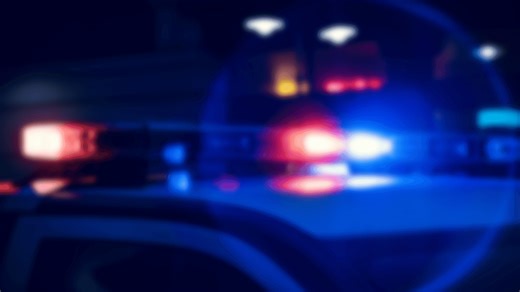 Police swiftly arrest suspect following North Charleston bank heist