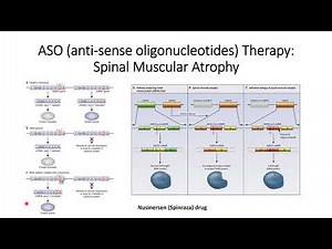 Nusinersen: ASO(Anti-Sense- Oligonucleotide) Therapy toward Spinal Muscular Atrophy (SMA) #Code: 198