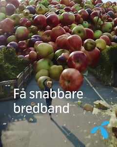Samla mobil, bredband och tv hos oss så får du mer surf. Eller snabbare bredband. Eller fler tv-kanaler. Det väljer du helt själv! | Telenor Sverige