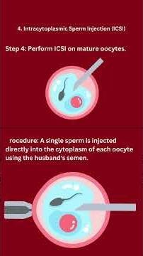 IVF | In Vitro Fertilization | Technique and Procedure