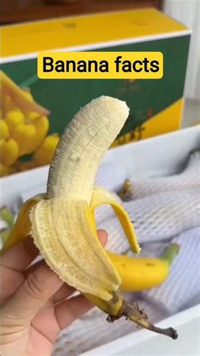 Unique Facts About Bananas! #facts #banana #shorts