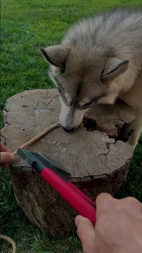 How to Cut Rope Without Fraying – Pro Tip!