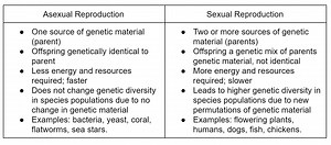 Grade 9 Topic 1: Life Processes