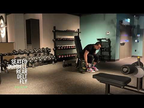 How To Do a Seated Rear Delt Dumbell Fly