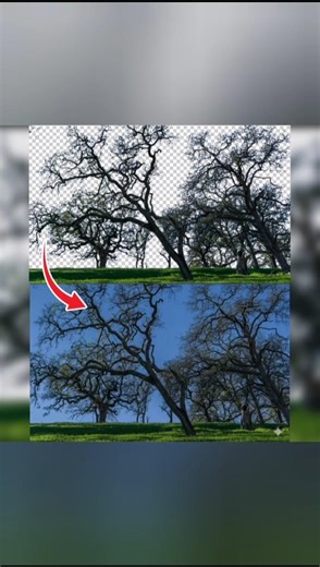 Photoshop Tips |Noob vs Pro Editor |TheEdit Art |Beginner |Tutorial |Shorts