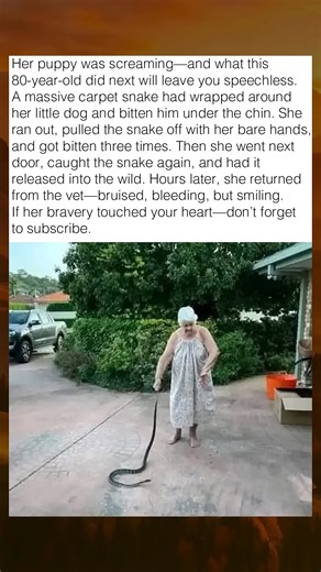 134K views · 902 reactions | 80 year old grandma flights a python to save her dog ❤️ #viral #trending #newcontent #newstories | New stories | Facebook