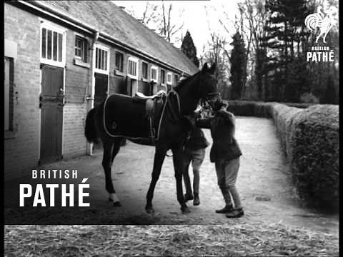 Horse Racing Stables (1950-1959)