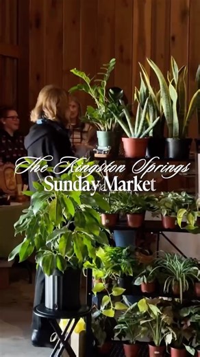 Sunday showed up in the best way. 🥹 Huge thank you to everyone who came out to our market with @westglowfarm and completely blew our expectations out of the water. We can’t wait to do it all again on March 22 with fresh vendors and plenty of your familiar favorites. 🍓☕️🕯️🧺💐🍯🍞🌼 | The Kingston Springs Gazette