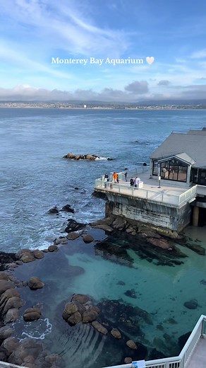 Exploring Monterey Bay Aquarium: A Sea Otter Paradise