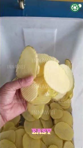 Vegetable Slicer Machine Crinkle Slice Julienne Shred for Root Vegetable Processing
