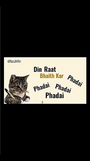 NEET ka paper leak ho gya😭 #shorts #typotadka #typography #cat