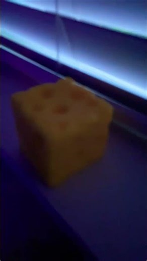 Do you like cheese