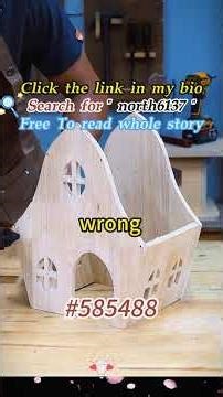 3-Minute Novel Teaser! YouTube Only Clips-TikTok [north6137] for FULL Story!