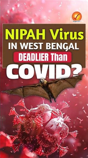 NIPAH Virus in West Bengal: DEADLIER Than COVID?