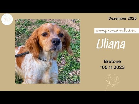 Uliana – The Meaning of Life… December 25