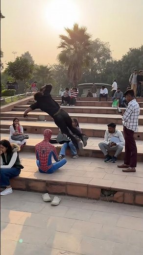 Spider man shocked 😳 side flip reaction😍🤣#shorts