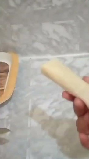 Chicken Vegetable Roll