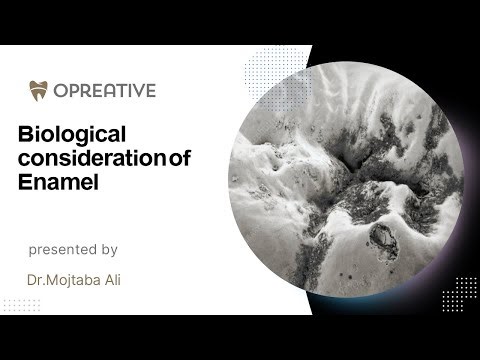 شرح مادة الاوبرتف Lec 3 ( Biological Considerations of enamel)