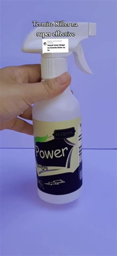 Effective Termite Control Solutions