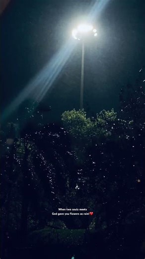 Rain in Delhi❤️ #rain #delhi #nature