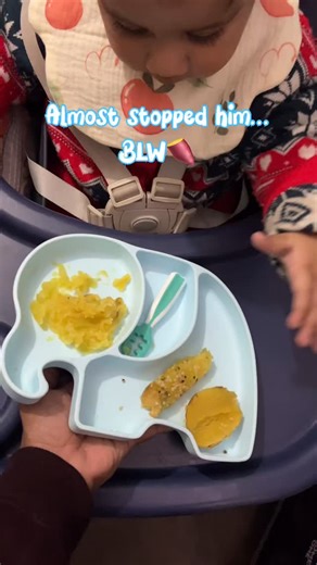 Manager | Mom | BLW | Spoon on Instagram: "Trusting my boy was worth it and taught me not to interrupt him unless needed ♥️#sweetpotato #blw #manager2mum #babyboy"