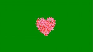 Rose Pellets Exploding Heart Shape On Stock Footage Video (100% Royalty-free) 1108265179 | Shutterstock