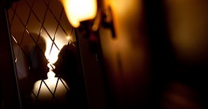 They've Been Married A Decade. She's A Sex Worker. Here's What It's Like.