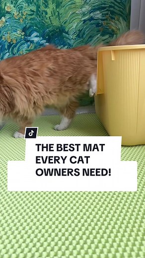 XL Litter Mat: The Ultimate Solution to Litter Tracking