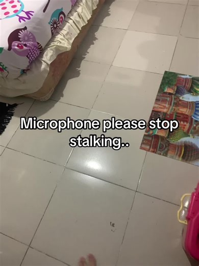 Inanimate Insanity: Stalking Awareness with Microphone