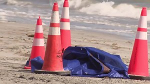 Human HEAD is found washed up on Florida tourist beach by horrified worker