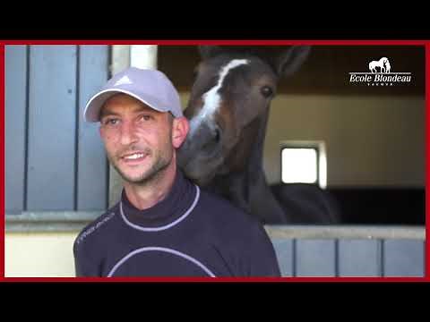 C'est quoi la méthode Blondeau pour Olivier Subileau ?
