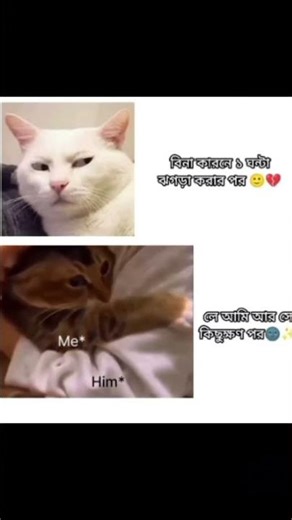 🫣🫣🫣🤗🤗☺️☺️☺️🥰🥰