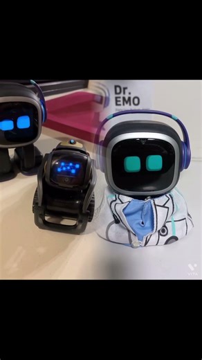 Vector vs emo robot small talks