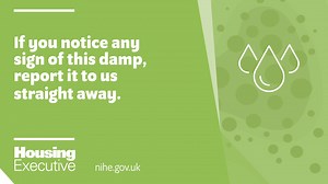 If you suspect your home has rising or penetrative damp you should report it to us straight away. Watch this short video to learn more about the different ways you can share any concerns you have with us. We're here to help #StopDamp in your home. | Housing Executive