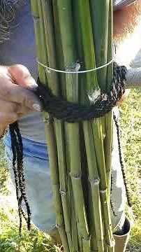 Bamboo Fence Multi-Strand Knot | Otoko Musubi 男結び | Part 2 of 3